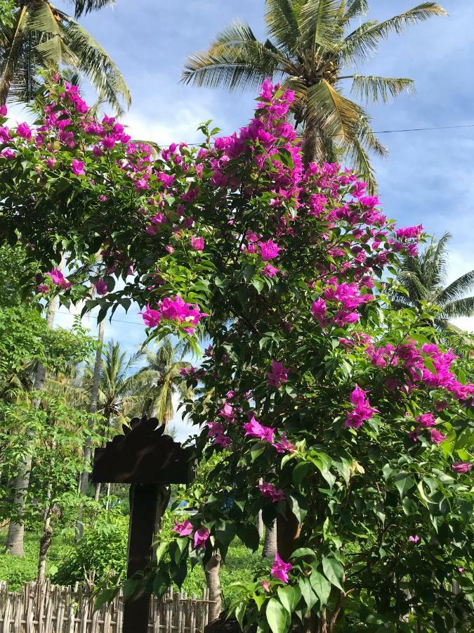 Meno Madia Bungalows Gili Meno Exterior foto